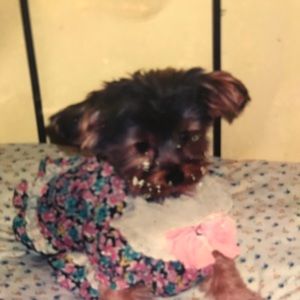 Meet your Posher, Shadi